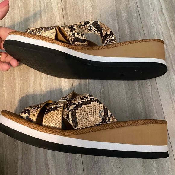 Circus Sam Edelman Burnett Slides Sandal 8 Snakeskin Print Slip On Wedge Brown - Picture 5 of 9